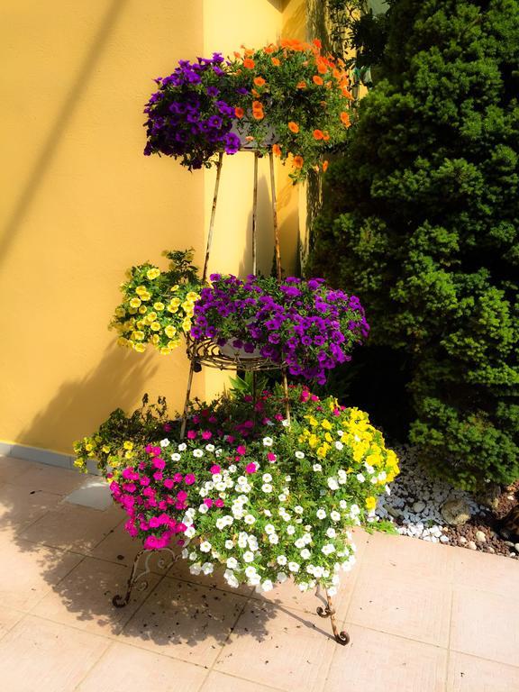 Le Pinette Bed & Breakfast Ameglia Exterior photo