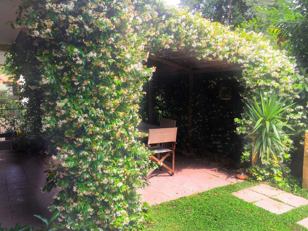 Le Pinette Bed & Breakfast Ameglia Exterior photo
