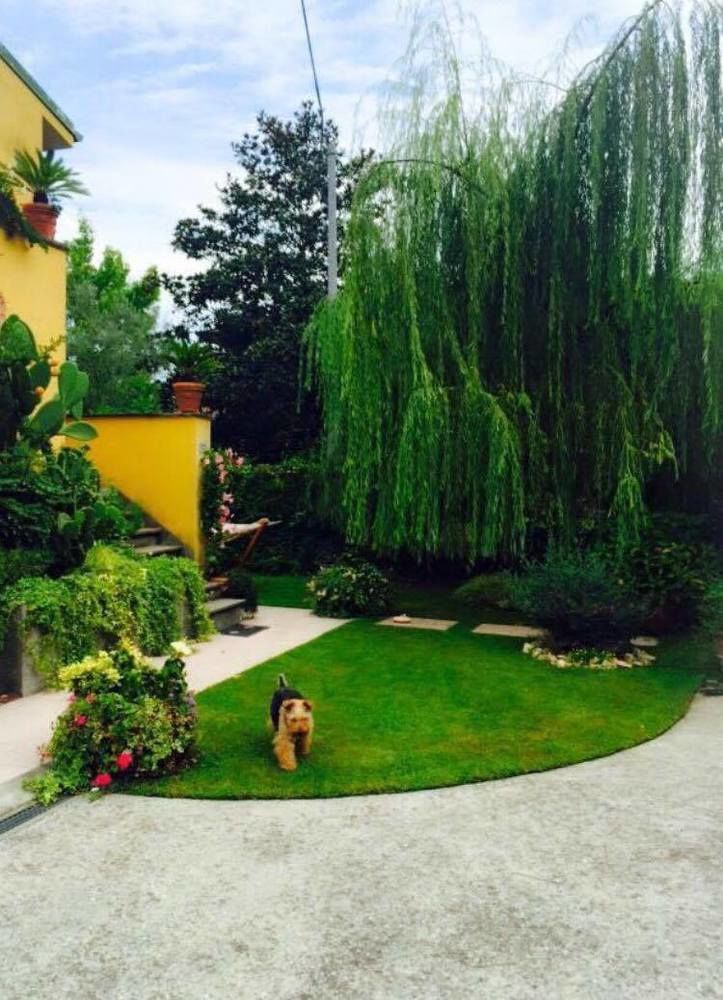 Le Pinette Bed & Breakfast Ameglia Exterior photo